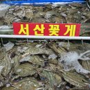 가평군농업협동조합 | [가평 캠핑] 🏕️ 가평 선택적고립 캠핑장 후기 (사이트 C-6)