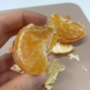 제주하다 | [명절선물] 레드향 내돈내산 후기(제주귤하다 레드향)