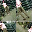 구제바라기 이미지