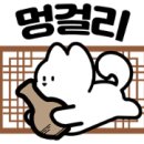 몰차이 이미지