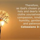 Prayer of the day_251211 이미지