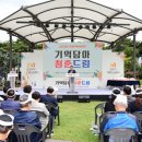 청춘담아 이미지