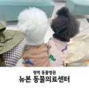 뉴본동물의료센터 이미지