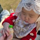 토이즈 | 역할놀이 원목장난감 카페놀이 돌아기장난감 플랜토이즈 주방놀이 후기