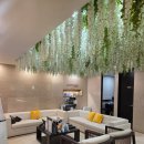 포마티 | 압구정 피부과 인모드 FX + 포마 후기, 붓기, 멍