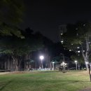 곤제역 1번출구 앞 공원 | 용인 번암공원 방문후기 🌳 김량장역 근처 산책하기 좋은 공원