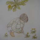 민들레커피
