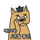 벌천포오토캠핑장 네이버블로그