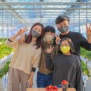 아미농장 이미지