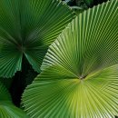 송원리경로당 이미지