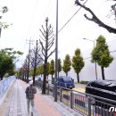 계림초등학교 후문 이미지