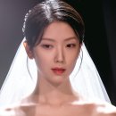 하서윤 카카오 검색결과