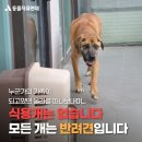 용산농장 이미지