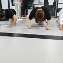 목감 국가대표 참 태권도장 | [2026년 4월] “인생의 2막, 검은 띠의 꿈” 성인태권도로 되찾는 자존감과 완벽한 스펙업! 🥋✨