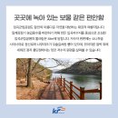 자연의하모니 이미지