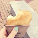 the 쫑포 이미지