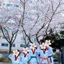 동아대 빛 태권도 이미지