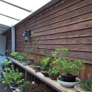 무봉산장 이미지