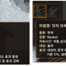 다엘안 이미지