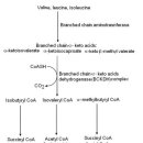 광주주사랑의원 이미지