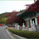 세세 이미지