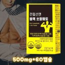아내마음 남편사랑 중년남자 건강을 위한 전립선엔 블랙쏘팔메토 500mg x 60캡슐