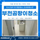 부천약품 | 부천곰팡이청소 춘의동 빌라 쓰리룸 곰팡이 문제 해결 작업 후기