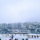 산정호수마을회 이미지