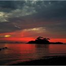 엄마와 까치집 두개 이미지