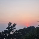 조천축산 이미지