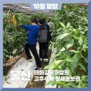 (주)초록배낭 이미지