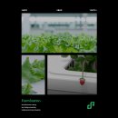 팜소프트 이미지