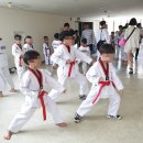 마루한 태권도 이미지