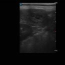 덕계 원 동물병원 이미지