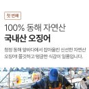 동해오징어