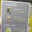 컬리수.모이몰른 네이버블로그