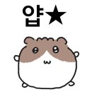 제이엠 GYM 이미지