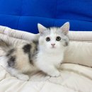 작고 소중해 이미지