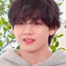 프링헤어 이미지