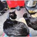 토탈마스터자동차 이미지