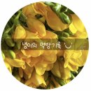 지에스25 월미도선착장점 | 월미도맛집ㅣ월미도 달빛조개 조개구이 맛집 추천! 내돈내산 찐후기!