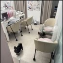 네일모드 - 수원시 팔달구 덕영대로 923-10 | 네일모드