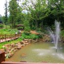 편백숲,쉼 이미지