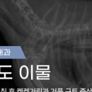 속초물메디컬센터