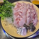 황학시장 | 신당역 맛집 황학시장 골목에서 발견한 민어 숙성회 찐맛집, &#39;이도&#39; 후기