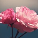 힐링뷰티피부 이미지