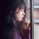 신세휘 카카오 검색결과