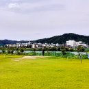 안동강변체육공원 파크골프장 | [파크골프구장⛳️] 안동 강남 파크골프장 예약/ 코스 / 요금까지!
