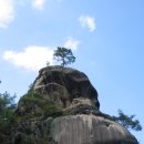 성동초교 이미지