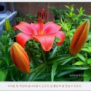경희회식당 이미지
